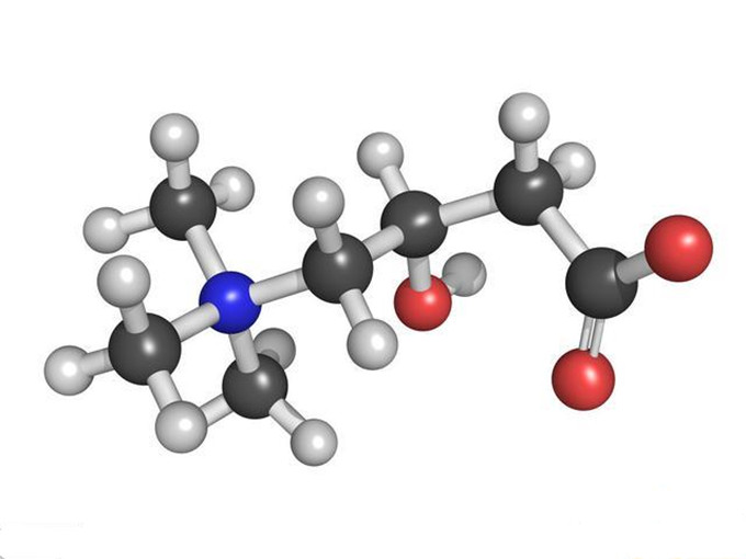 Ce este L-carnitina?